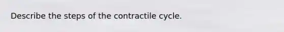 Describe the steps of the contractile cycle.