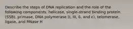 Describe the steps of DNA replication and the role of the following components: helicase, single-strand binding protein (SSB), primase, DNA polymerase (I, III, δ, and ε), telomerase, ligase, and RNase H