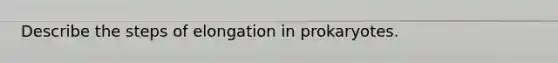 Describe the steps of elongation in prokaryotes.