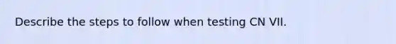 Describe the steps to follow when testing CN VII.