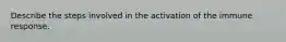 Describe the steps involved in the activation of the immune response.