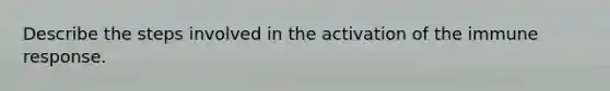 Describe the steps involved in the activation of the immune response.