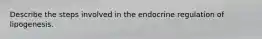 Describe the steps involved in the endocrine regulation of lipogenesis.