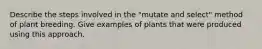 Describe the steps involved in the "mutate and select" method of plant breeding. Give examples of plants that were produced using this approach.