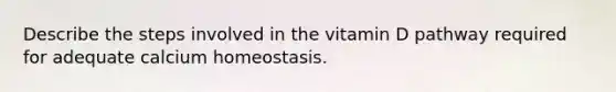 Describe the steps involved in the vitamin D pathway required for adequate calcium homeostasis.