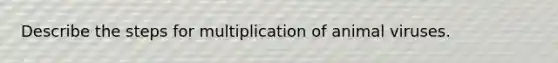 Describe the steps for multiplication of animal viruses.