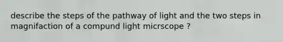 describe the steps of the pathway of light and the two steps in magnifaction of a compund light micrscope ?