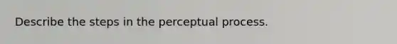 Describe the steps in the perceptual process.