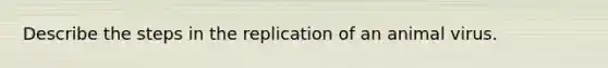 Describe the steps in the replication of an animal virus.