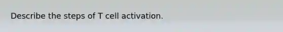 Describe the steps of T cell activation.