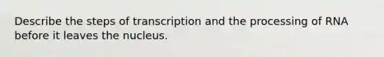 Describe the steps of transcription and the processing of RNA before it leaves the nucleus.