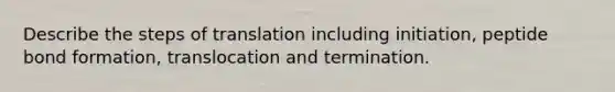 Describe the steps of translation including initiation, peptide bond formation, translocation and termination.