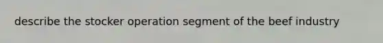 describe the stocker operation segment of the beef industry