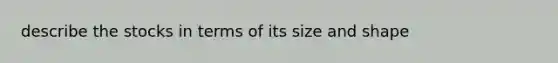 describe the stocks in terms of its size and shape