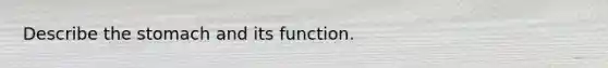 Describe the stomach and its function.