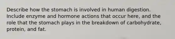 Describe how the stomach is involved in human digestion. Include enzyme and hormone actions that occur here, and the role that the stomach plays in the breakdown of carbohydrate, protein, and fat.