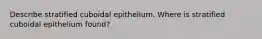 Describe stratified cuboidal epithelium. Where is stratified cuboidal epithelium found?