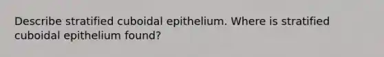 Describe stratified cuboidal epithelium. Where is stratified cuboidal epithelium found?