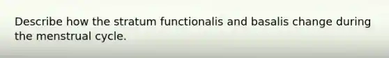 Describe how the stratum functionalis and basalis change during the menstrual cycle.