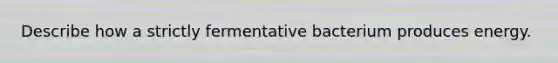 Describe how a strictly fermentative bacterium produces energy.