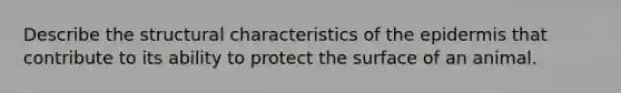 Describe the structural characteristics of the epidermis that contribute to its ability to protect the surface of an animal.