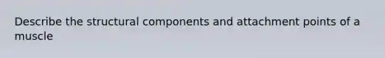 Describe the structural components and attachment points of a muscle