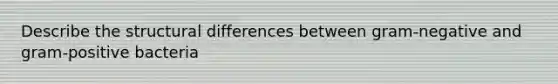 Describe the structural differences between gram-negative and gram-positive bacteria