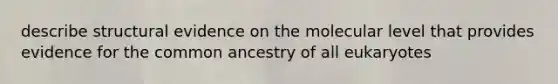 describe structural evidence on the molecular level that provides evidence for the common ancestry of all eukaryotes