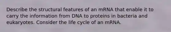 Describe the structural features of an mRNA that enable it to carry the information from DNA to proteins in bacteria and eukaryotes. Consider the life cycle of an mRNA.