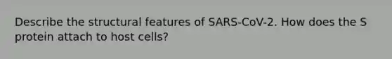 Describe the structural features of SARS-CoV-2. How does the S protein attach to host cells?