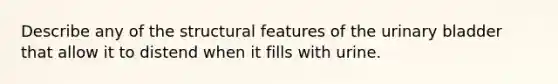 Describe any of the structural features of the urinary bladder that allow it to distend when it fills with urine.