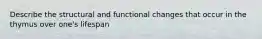 Describe the structural and functional changes that occur in the thymus over one's lifespan