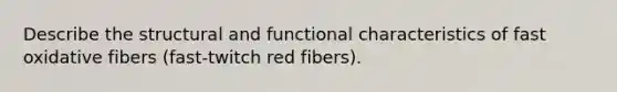 Describe the structural and functional characteristics of fast oxidative fibers (fast-twitch red fibers).