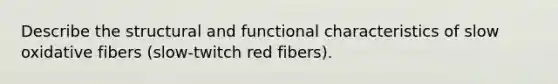 Describe the structural and functional characteristics of slow oxidative fibers (slow-twitch red fibers).