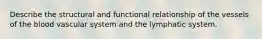 Describe the structural and functional relationship of the vessels of the blood vascular system and the lymphatic system.