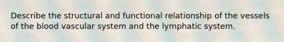 Describe the structural and functional relationship of the vessels of the blood vascular system and the lymphatic system.