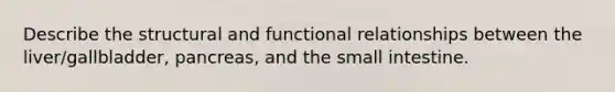 Describe the structural and functional relationships between the liver/gallbladder, pancreas, and the small intestine.