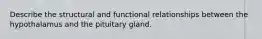 Describe the structural and functional relationships between the hypothalamus and the pituitary gland.