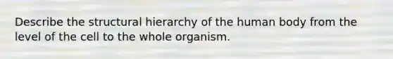 Describe the structural hierarchy of the human body from the level of the cell to the whole organism.