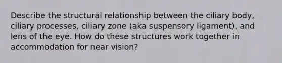 Describe the structural relationship between the ciliary body, ciliary processes, ciliary zone (aka suspensory ligament), and lens of the eye. How do these structures work together in accommodation for near vision?