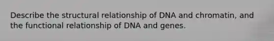 Describe the structural relationship of DNA and chromatin, and the functional relationship of DNA and genes.