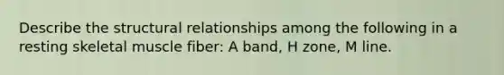 Describe the structural relationships among the following in a resting skeletal muscle fiber: A band, H zone, M line.