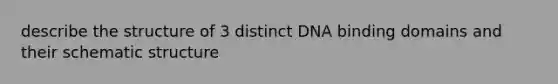 describe the structure of 3 distinct DNA binding domains and their schematic structure