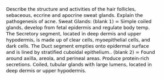 Describe the structure and activities of the hair follicles, sebaceous, eccrine and apocrine sweat glands. Explain the pathogenesis of acne. Sweat Glands: (blank 1) = Simple coiled glands, develop from fetal epidermis and regulate body temp. The Secretory segment, located in deep dermis and upper hypodermis, is made up of clear cells, myoepithelial cells, and dark cells. The Duct segment empties onto epidermal surface and is lined by stratified cuboidal epithelium.. (blank 2) = Found around axilla, areola, and perineal areas. Produce protein-rich secretions. Coiled, tubular glands with large lumens, located in deep dermis or upper hypodermis.