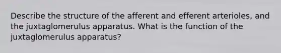 Describe the structure of the afferent and efferent arterioles, and the juxtaglomerulus apparatus. What is the function of the juxtaglomerulus apparatus?