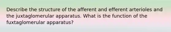 Describe the structure of the afferent and efferent arterioles and the juxtaglomerular apparatus. What is the function of the fuxtaglomerular apparatus?