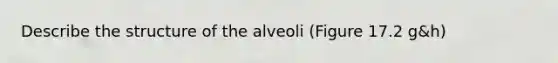 Describe the structure of the alveoli (Figure 17.2 g&h)