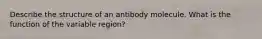 Describe the structure of an antibody molecule. What is the function of the variable region?