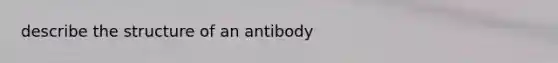 describe the structure of an antibody