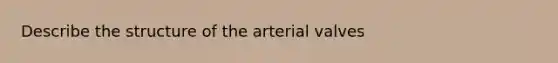 Describe the structure of the arterial valves